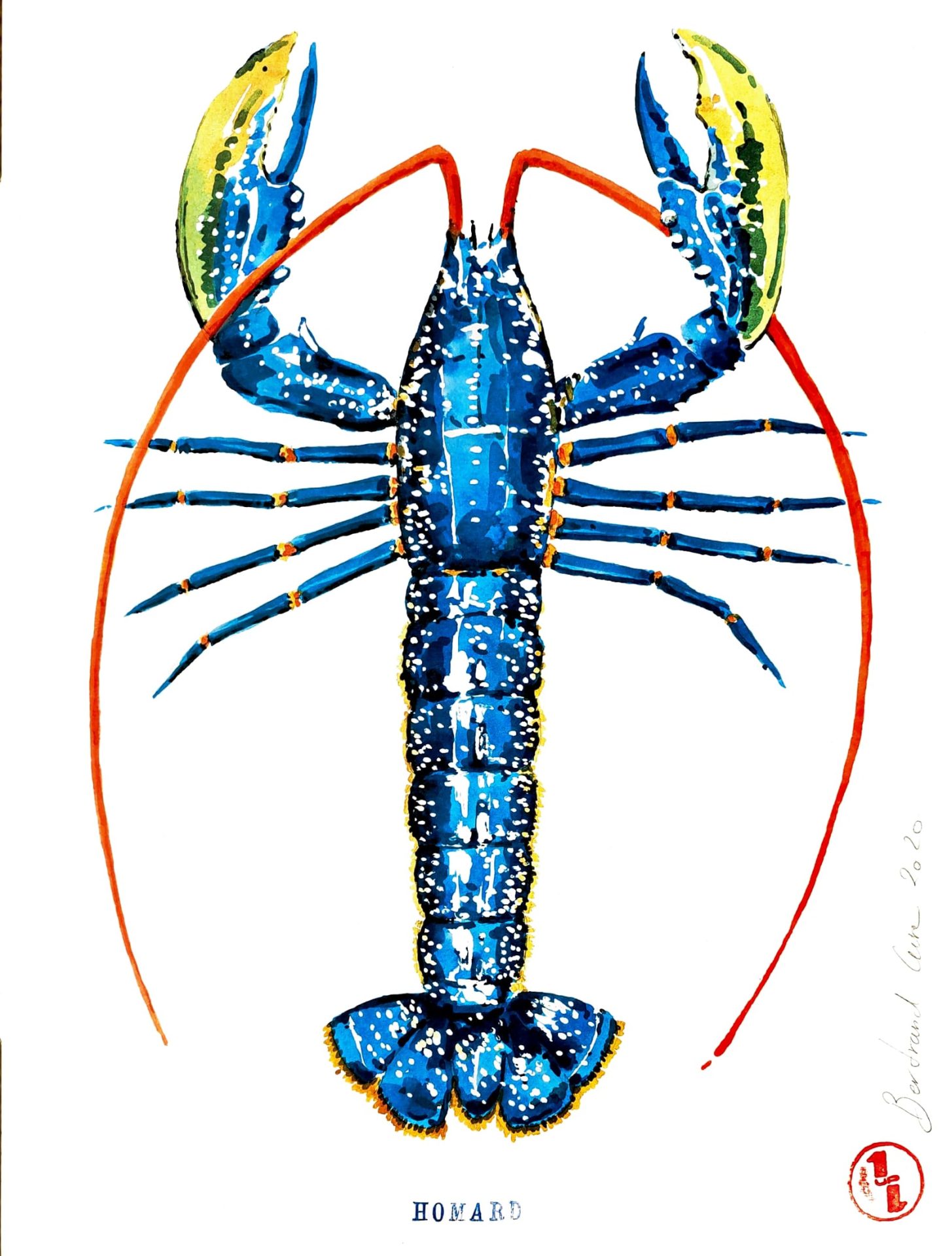 CURE Bertrand - Homard