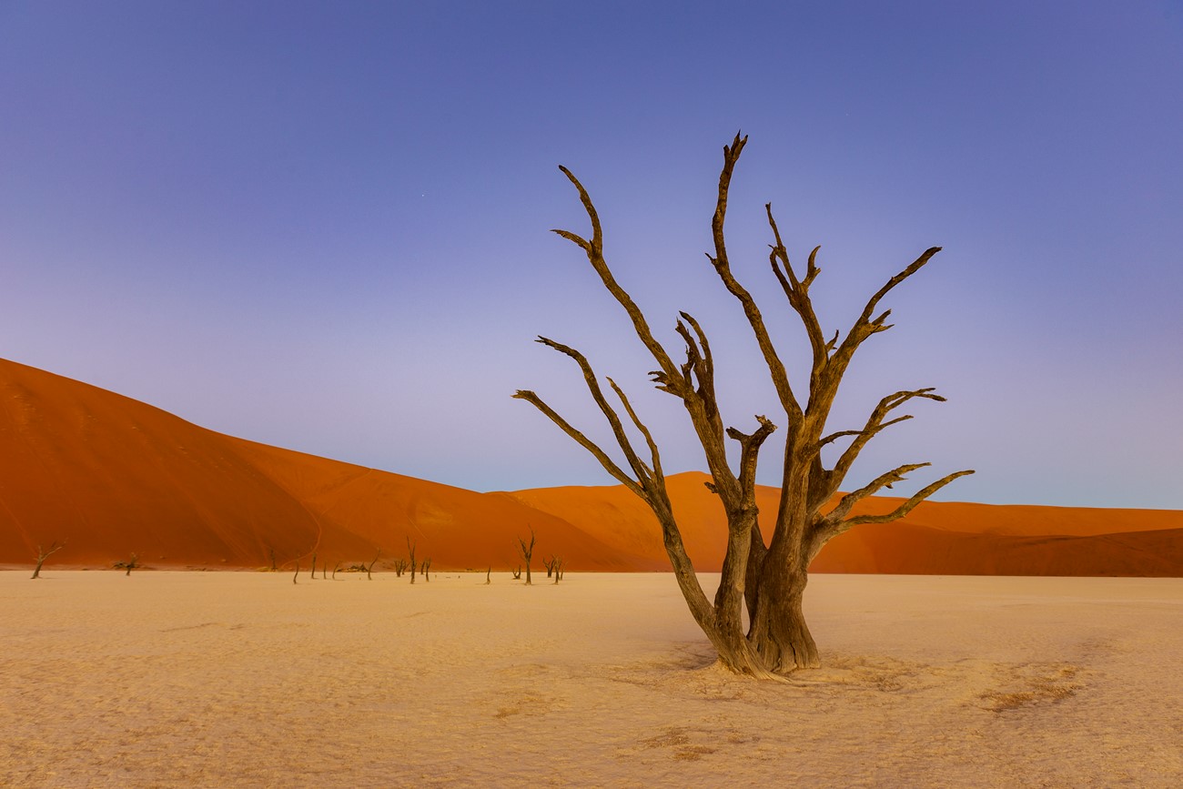 PUJOL Mathieu - Douce Lumière sur le Deadvlei