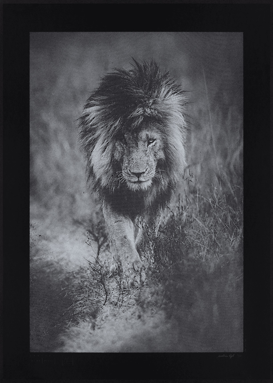 PUJOL Mathieu - SCARFACE - 01 AC 21