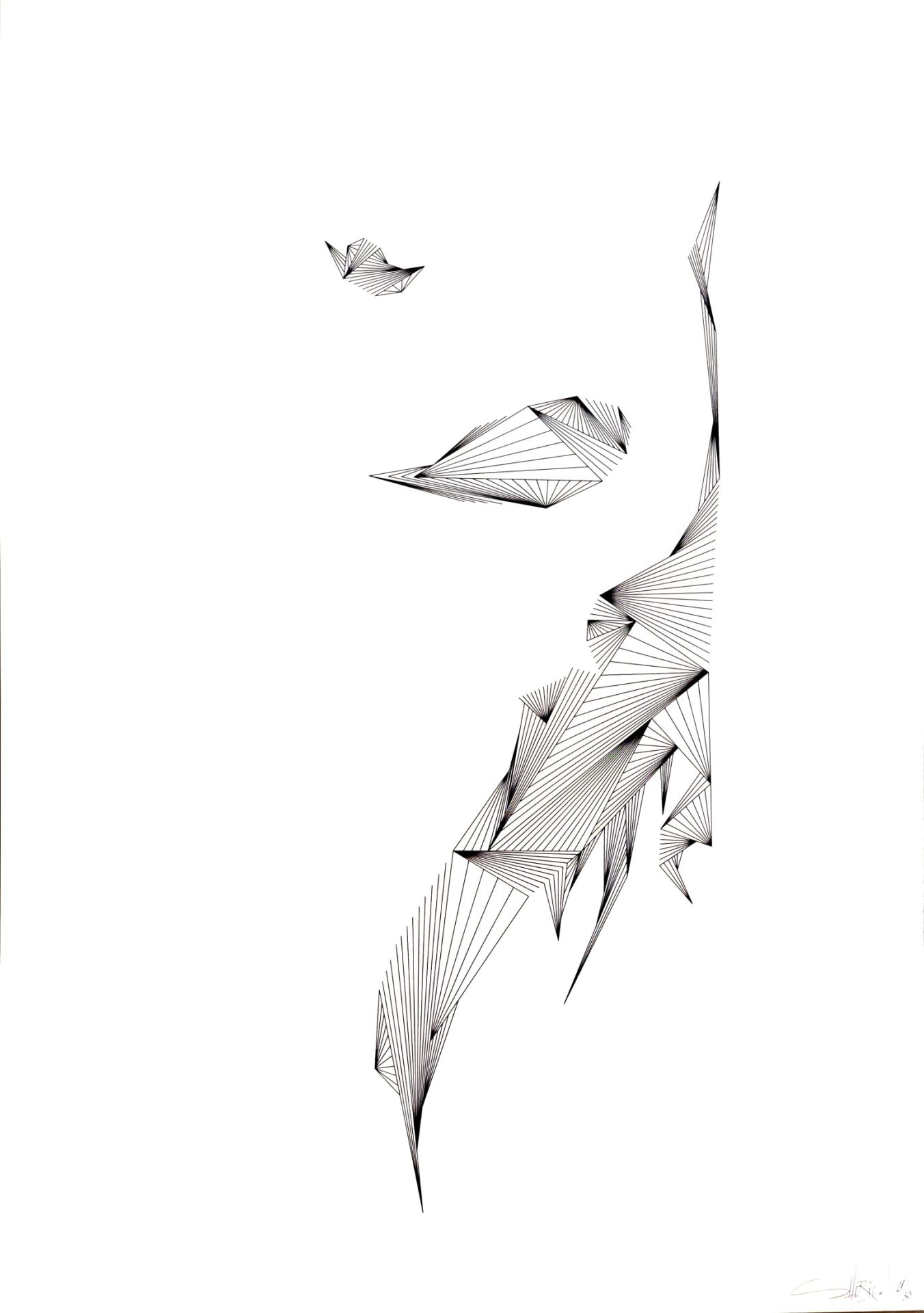 GENÊT Gauthier - Uncurved