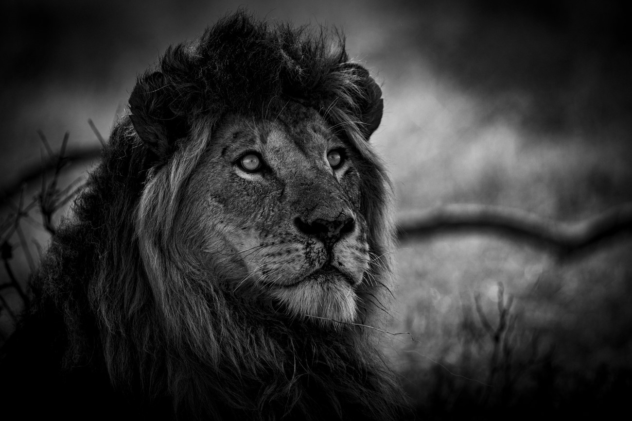 PUJOL Mathieu - Vers Le Ciel