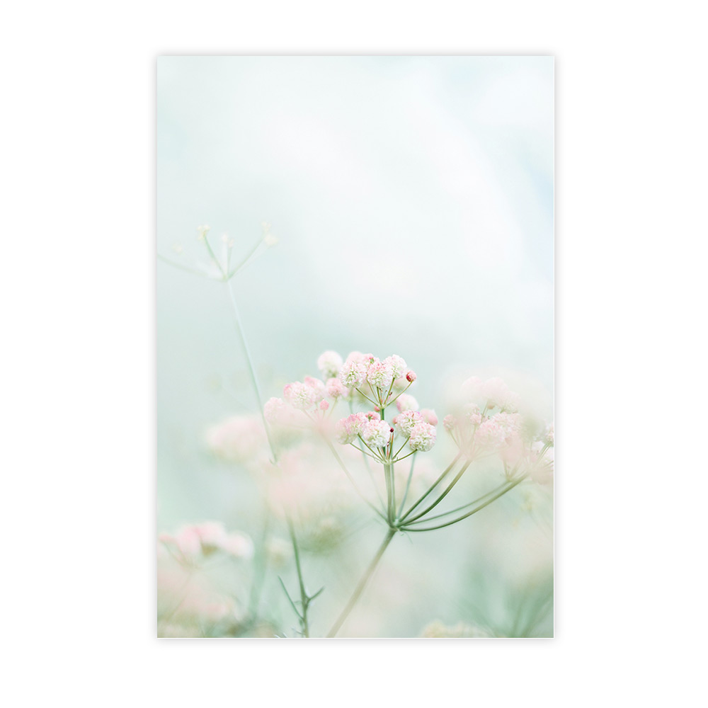 Légèreté rose pâle