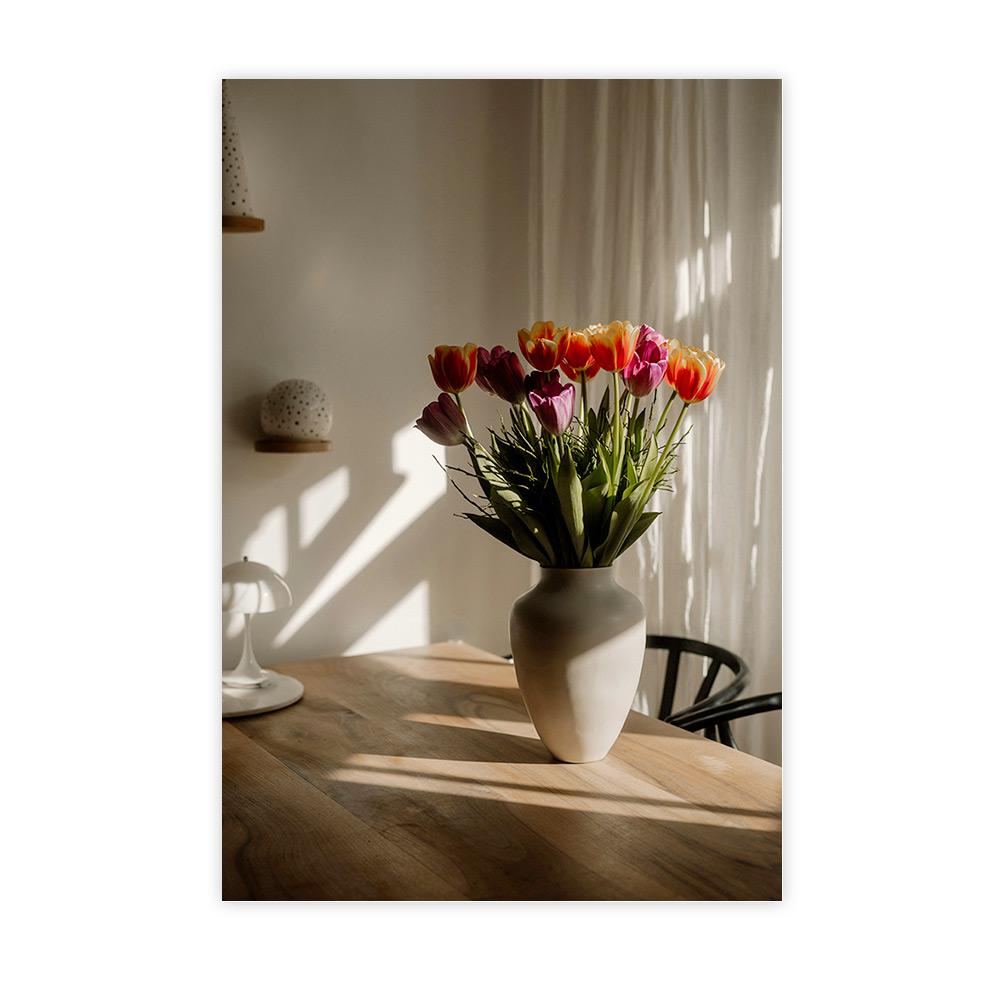 Tulipes en ombres et lumières